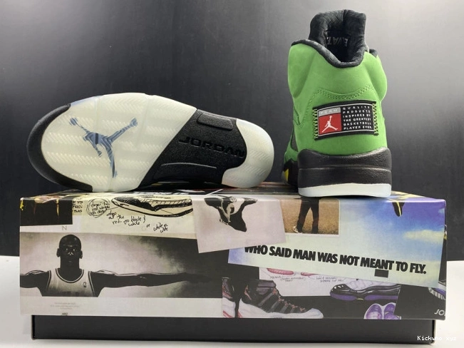 5 Oregon Air Jordan SE Ducks CK6631-307 0724